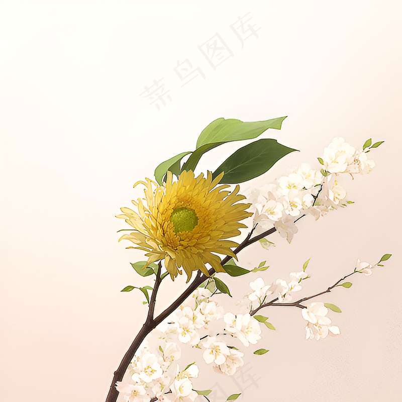 白色黄色手绘新中式风格花植物212