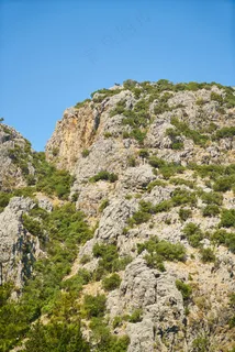 阳光照耀下的峻岭与翠绿植被