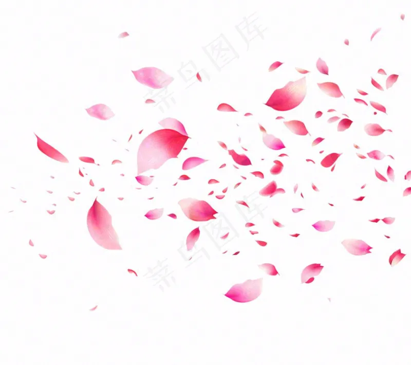 花瓣桃花樱花飘零插画免抠(1152x1024)
