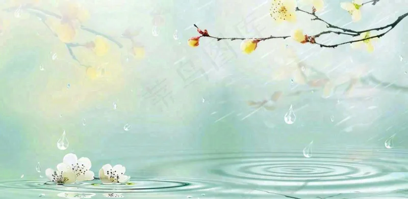 春天春暖花开梅雨季雨水谷雨黄花插画背景(1568x768)