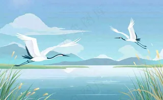 白露芦苇山水飞鹤插画蓝色唯美卡通插画背景