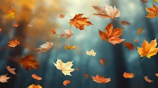 秋天落叶枯黄叶片摄影图