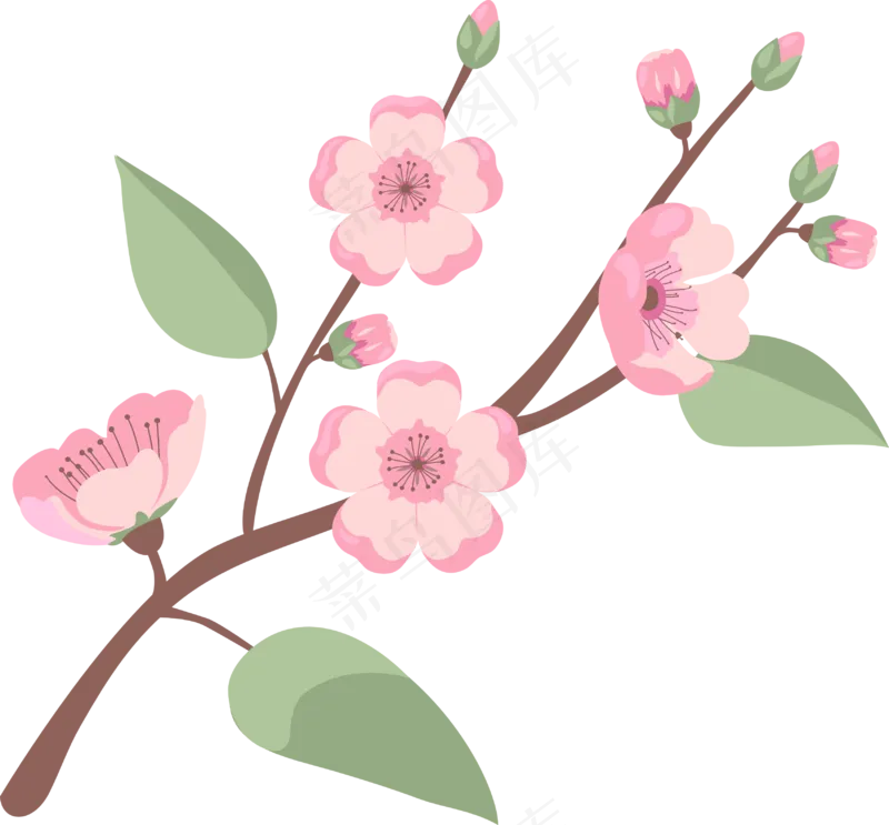 粉色桃花枝丫
