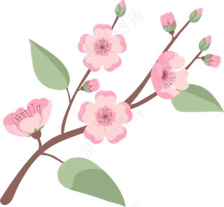 粉色桃花枝丫