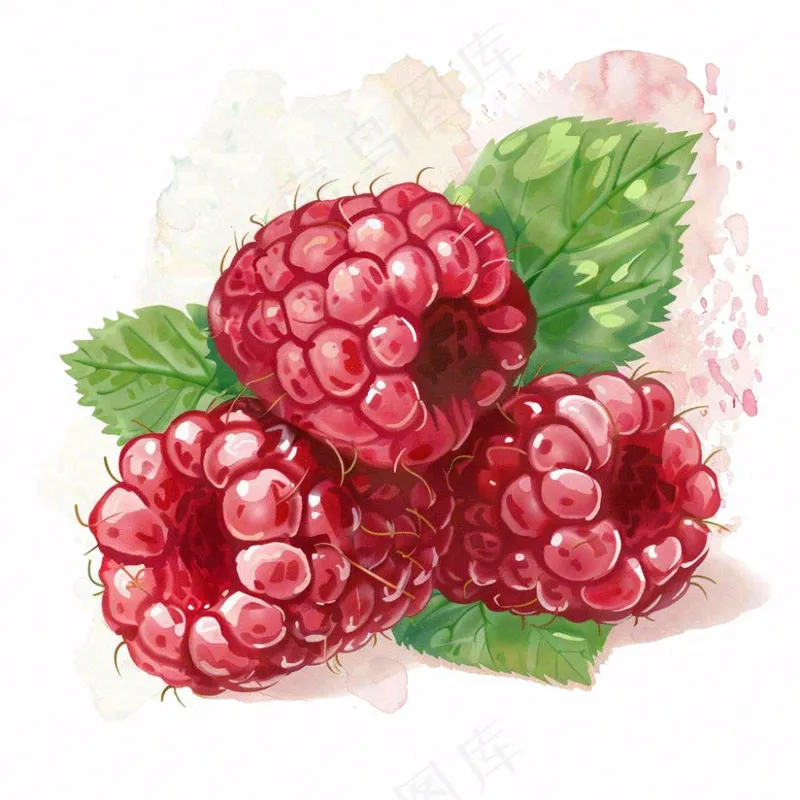 树莓水果莓果卡通插画免抠(1024x1024)
