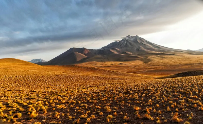 金色荒原的壮丽火山