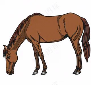 骏马马匹动物卡通插画免抠