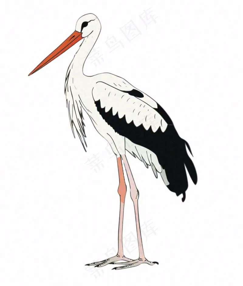 白鹤白鹭鸟国风插画免抠(1008x1184)