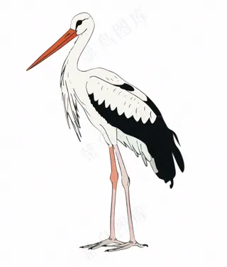 白鹤白鹭鸟国风插画免抠