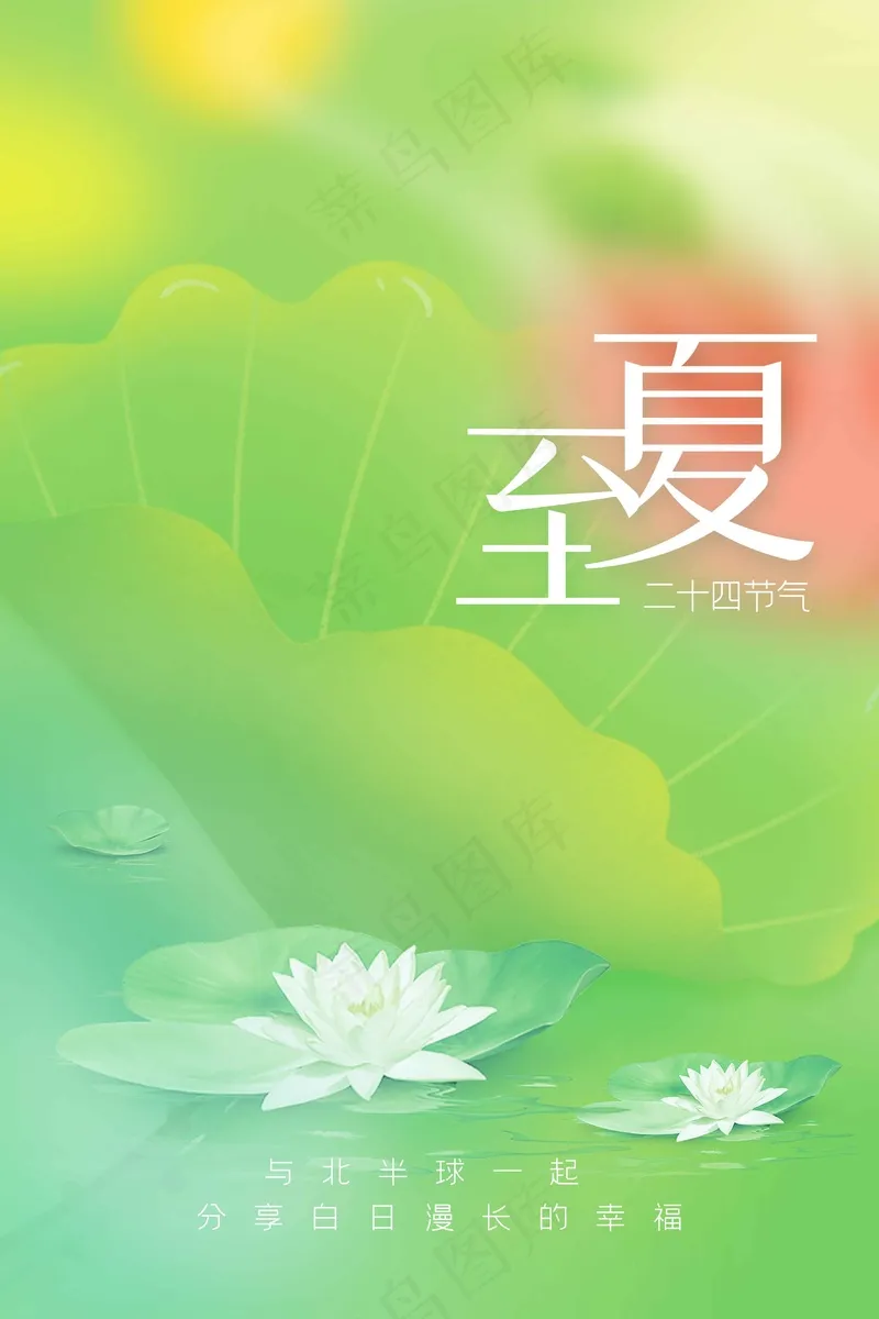 夏至节气传统活动海报