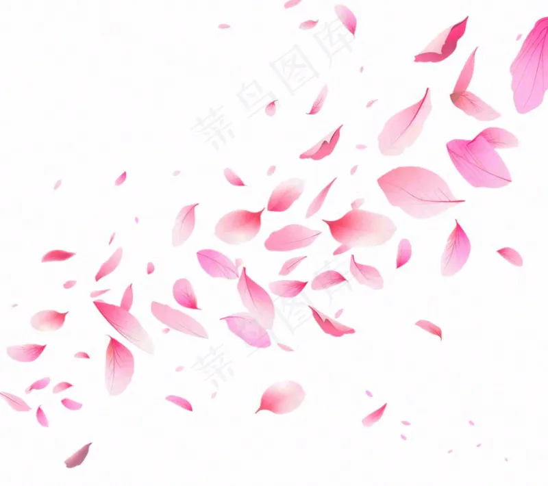 花瓣桃花樱花飘零插画免抠(1152x1024)