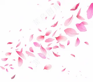 花瓣桃花樱花飘零插画免抠