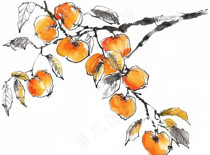 柿子杏树水墨画中国风插画免抠(1280x944)