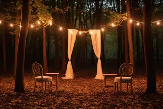 户外婚礼森林夜晚森系摄影图