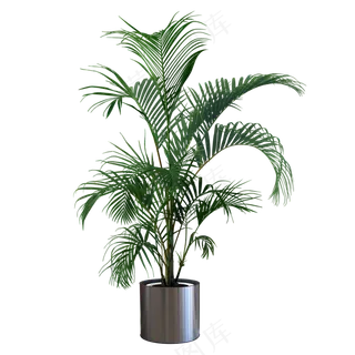 绿植素材高端室内装饰绿植png免抠图