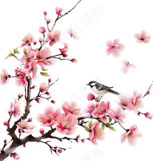 春天桃花树枝小鸟插画免抠
