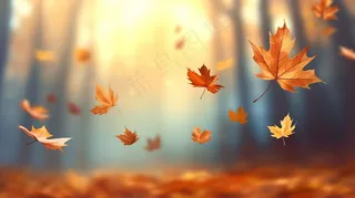 秋天落叶枯黄叶片摄影图