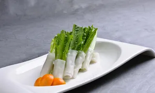 LCSC3798玉皮麻酱油麦菜 36