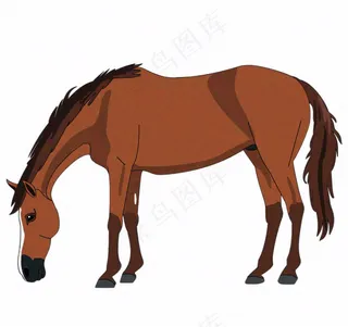 骏马马匹动物卡通插画免抠