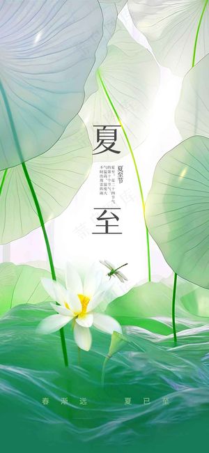夏至节气传统活动海报