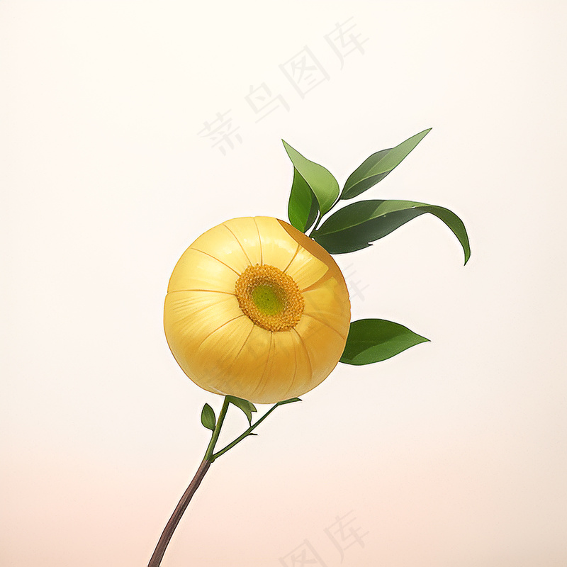 白色黄色手绘新中式风格花植物78