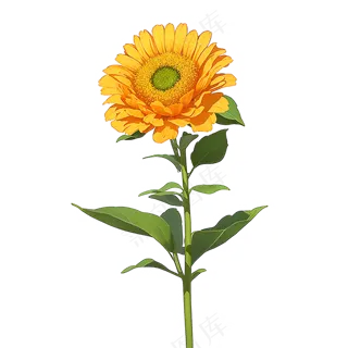 黄色向日葵免抠素材80