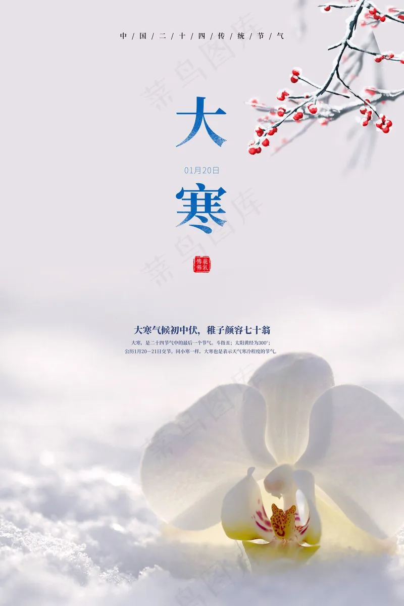 大寒雪景海报psd模版下载