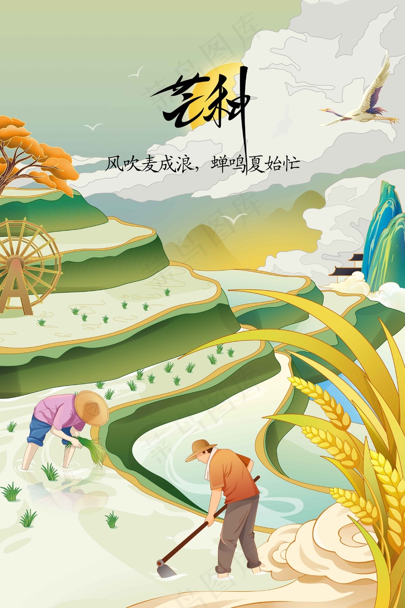 芒种节气传统活动海报psd模版下载