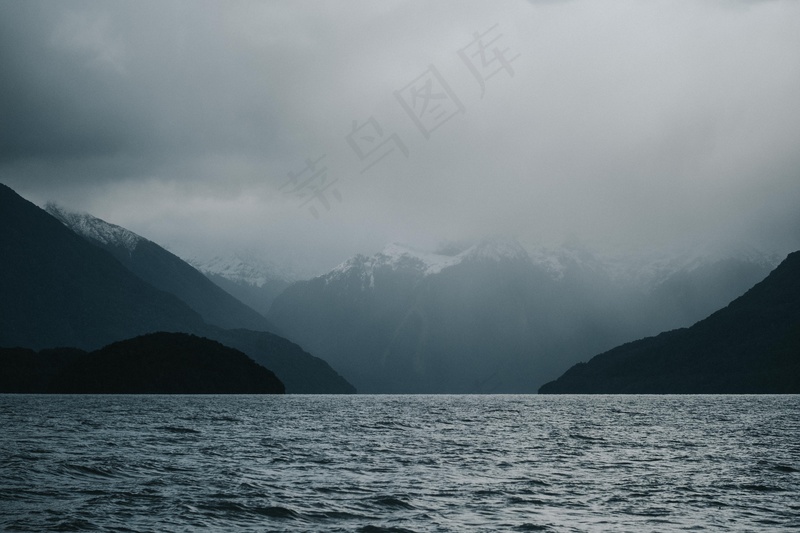 云雾森林图片
