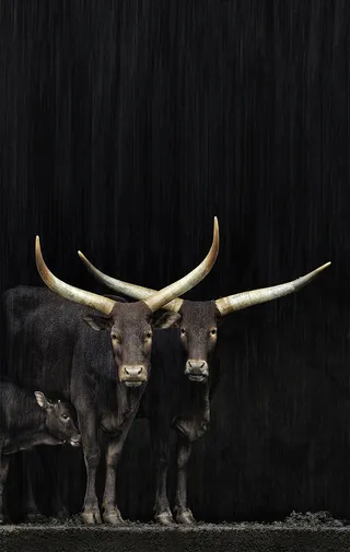 高清个性创意壁纸 (85)