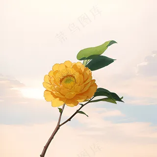 白色黄色手绘新中式风格花植物163 白色黄色手绘新中式风格花植物163