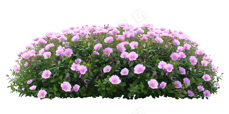 免抠开花灌木