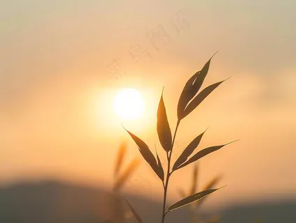 清晨日出朝霞云层山川摄影图