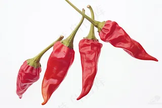 红色干辣椒干货白色背景 摄影图
