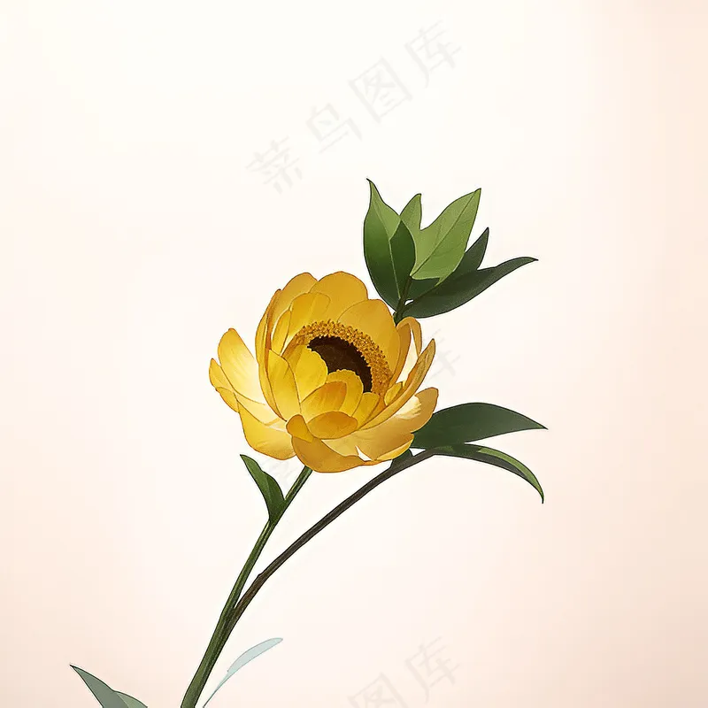 白色黄色手绘新中式风格花植物85