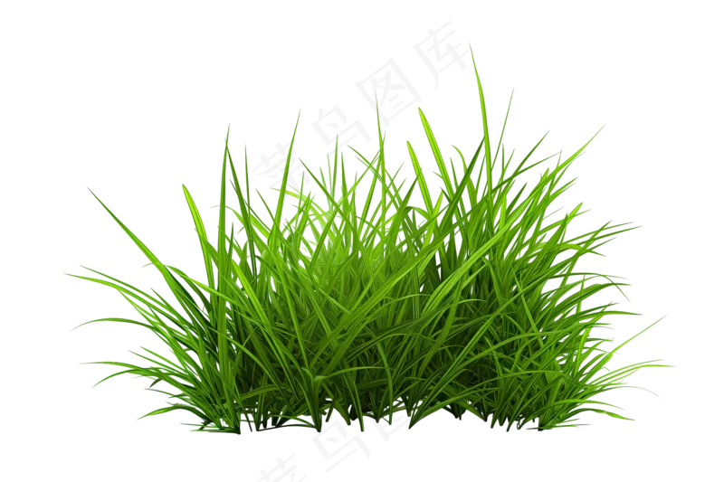 嫩青草草丛
