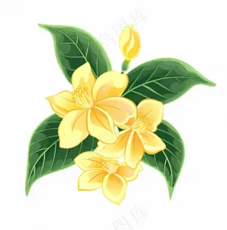 黄花桂花金秋绿叶卡通插画免抠