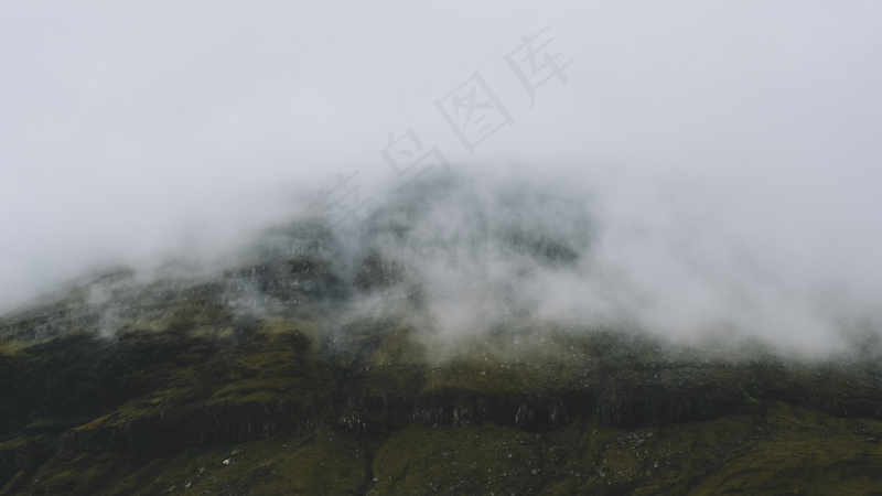 云雾森林图片
