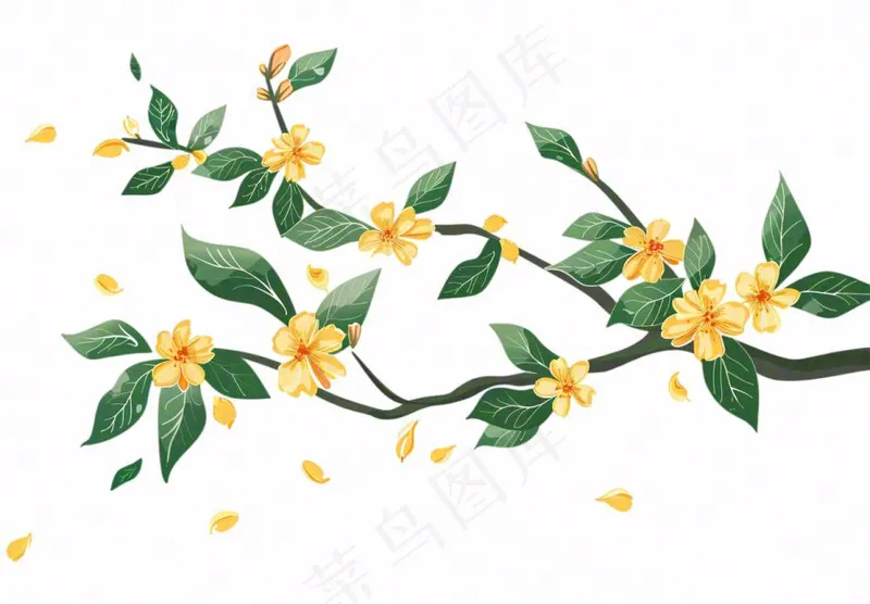 金秋桂花黄花树枝卡通插画免抠(1312x912)