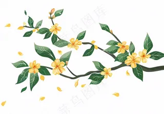 金秋桂花黄花树枝卡通插画免抠