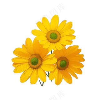 黄色向日葵花朵免抠素材53