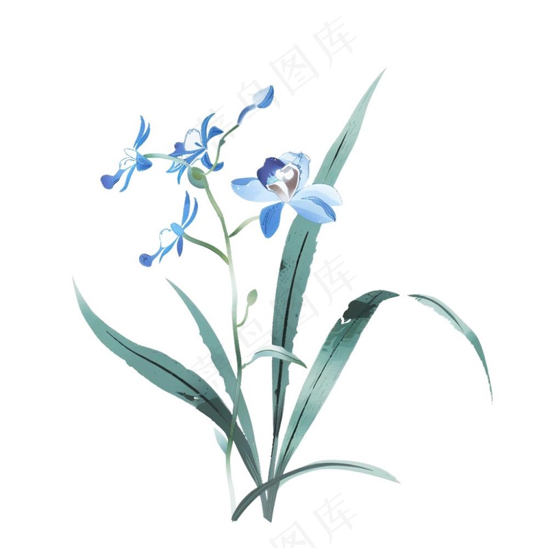 兰花水墨画中国风彩绘插画免抠(1024x1024)
