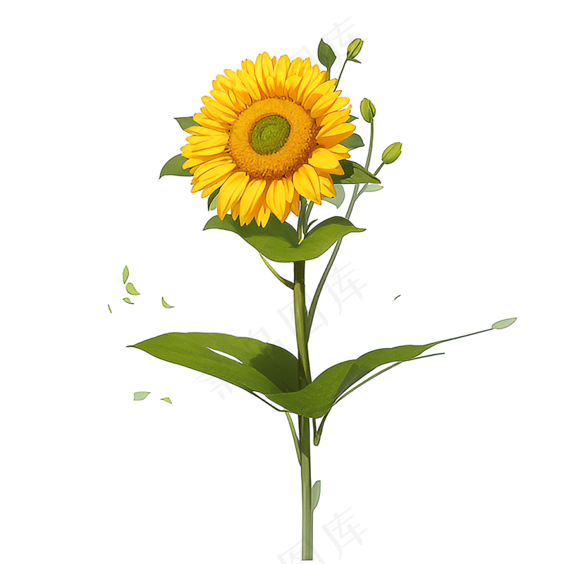 黄色向日葵免抠素材105