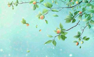 春夏绿色树枝绿叶清新绿意立夏插画背景