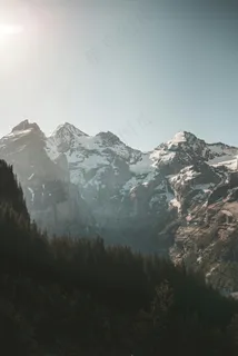 晨光下的雪山森林 晨光下的雪山森林