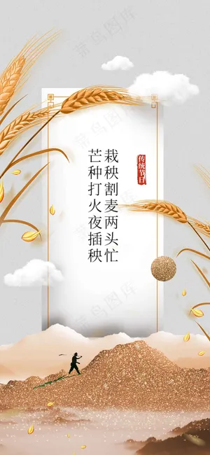 芒种节气传统活动海报