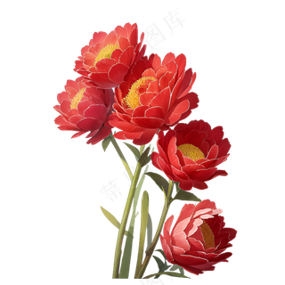 红色海棠花写实手绘练习作品1