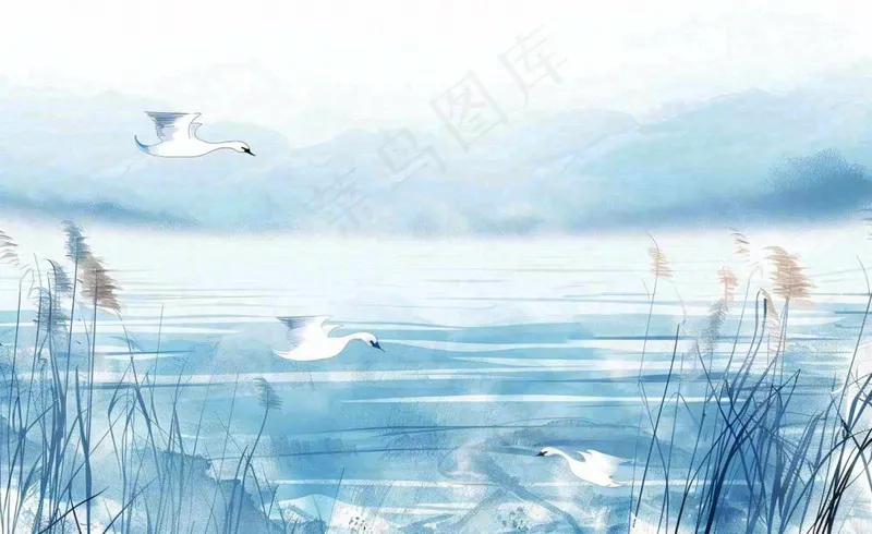 唯美白露插画白鹭动物风景秋天景色寒冷清冷芦苇丛寒露背景(1408x864)