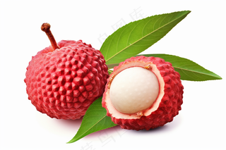 荔枝水果摄影图