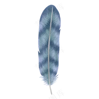 水彩羽毛免扣 高清 素材